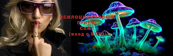 бошки Аркадак