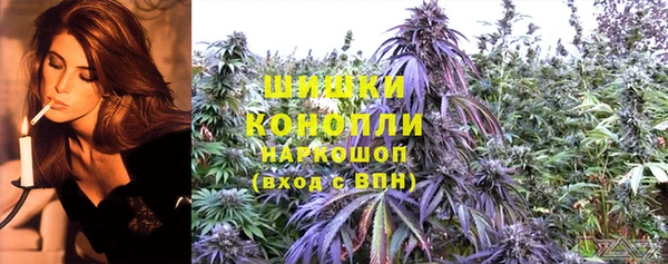 бошки Аркадак