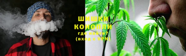 герыч Арсеньев