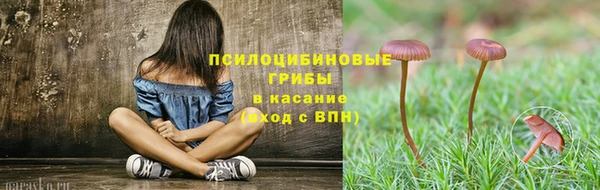 эйфоретик Рославль