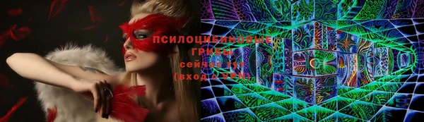 бошки Аркадак